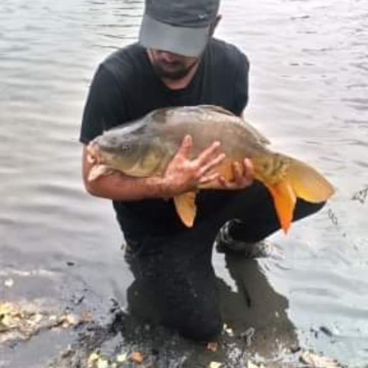 Profilo di Claude-alexandre