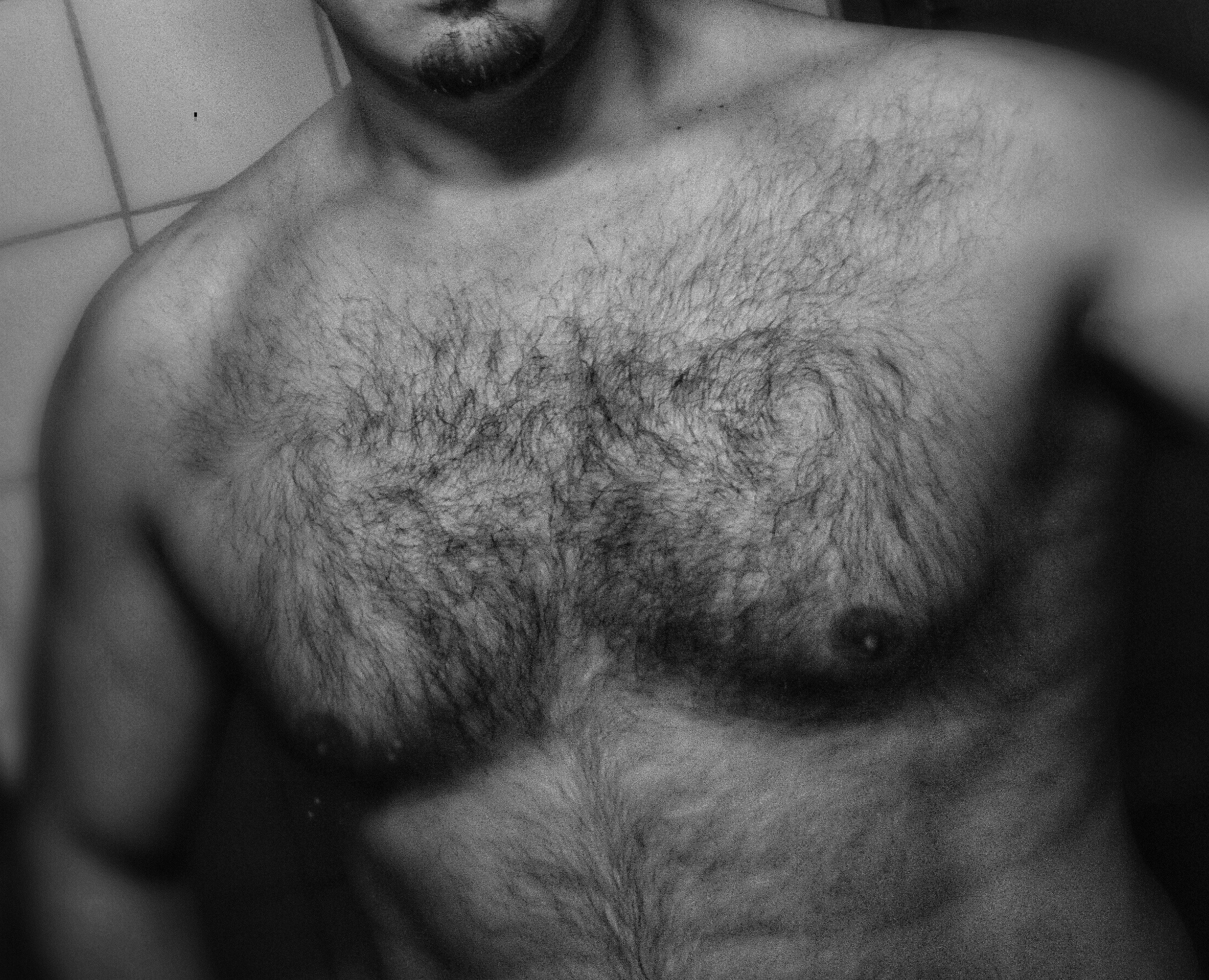 Profilo di Guerschom