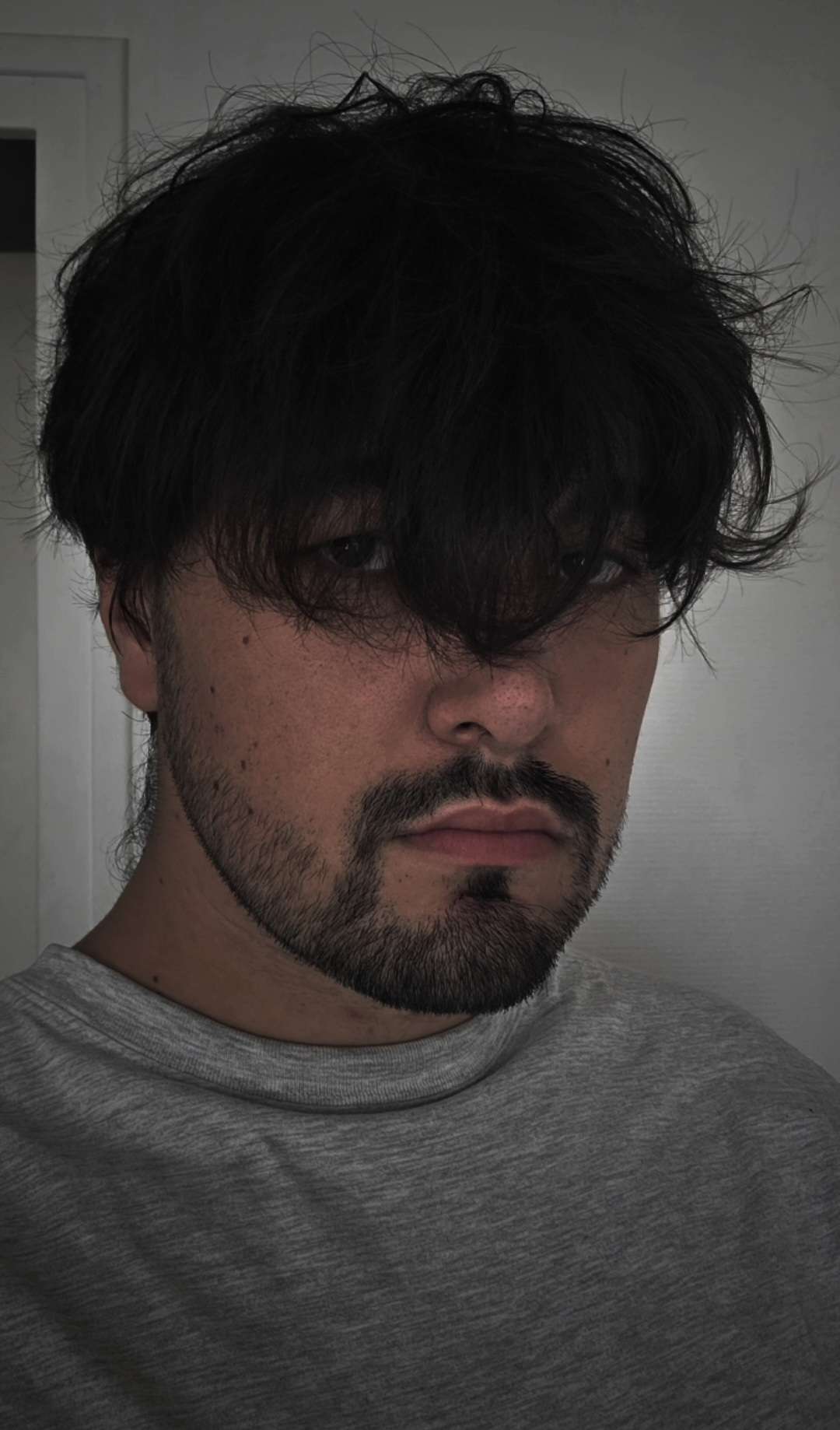 Profilo di Wielfried